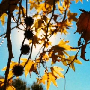 Meet your Posher, Jacky